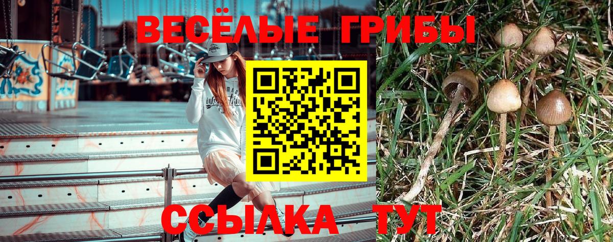 Верхний Уфалей  Галлюциногенные грибы Psilocybine cubensis  Вход с VPN 