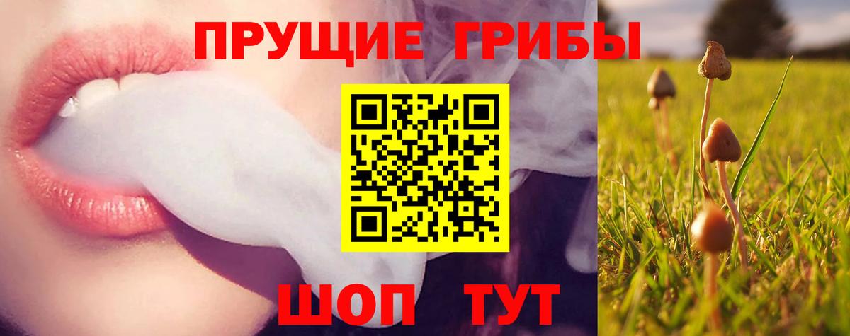 Псилоцибиновые грибы GOLDEN TEACHER Верхний Уфалей